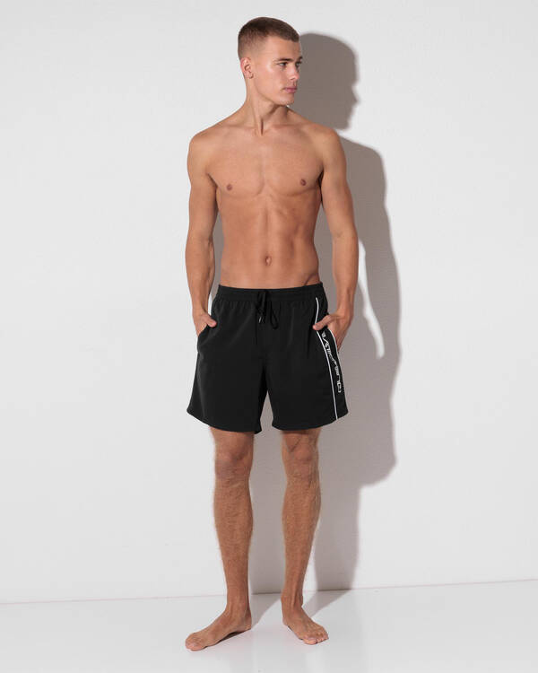 Quiksilver Everyday Vert Volley 17" Board Shorts for Mens