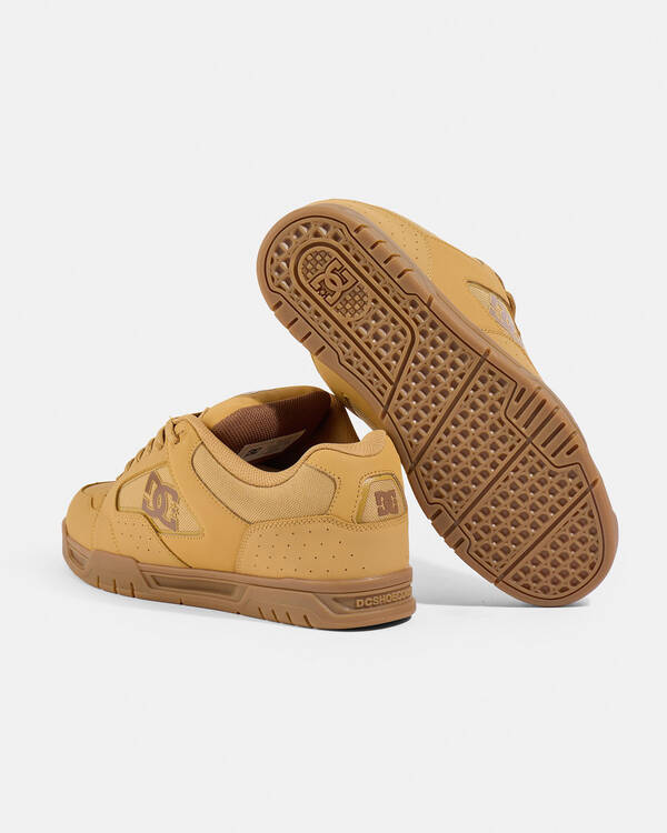 DC Shoes Coiler Shoes for Mens