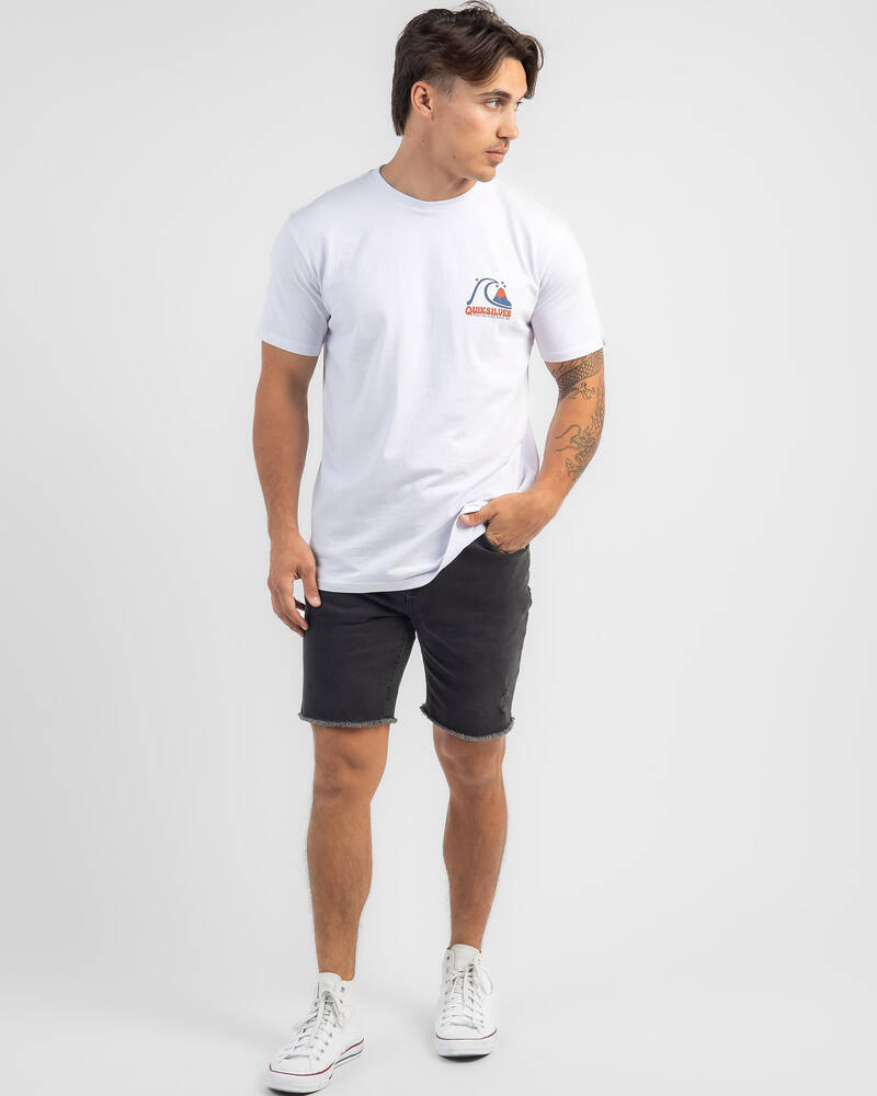 Quiksilver Mellow Tones T-Shirt for Mens