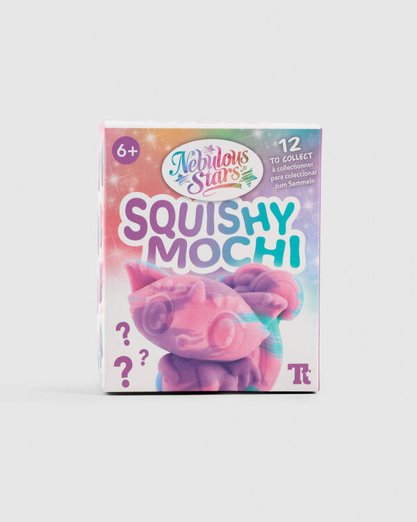Mochi Blind Box Squishy Fidget Toy