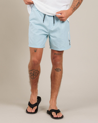 Hurley One & Only Gradient Elastic Waist Shorts for Mens image number null