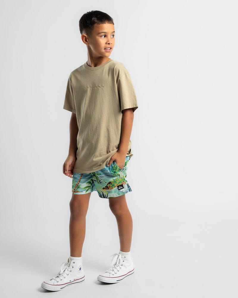 Quiksilver Boys' Everyday Mix Volley Shorts for Mens