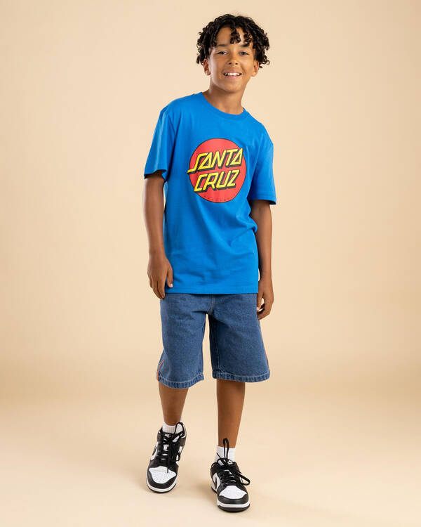 Santa Cruz Boys' Classic Dot Puff Front T-Shirt for Mens