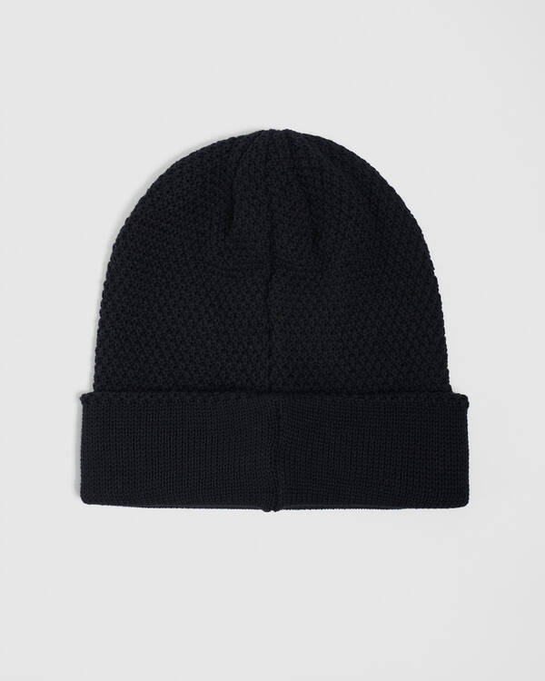 Skylark Raynor Beanie for Mens
