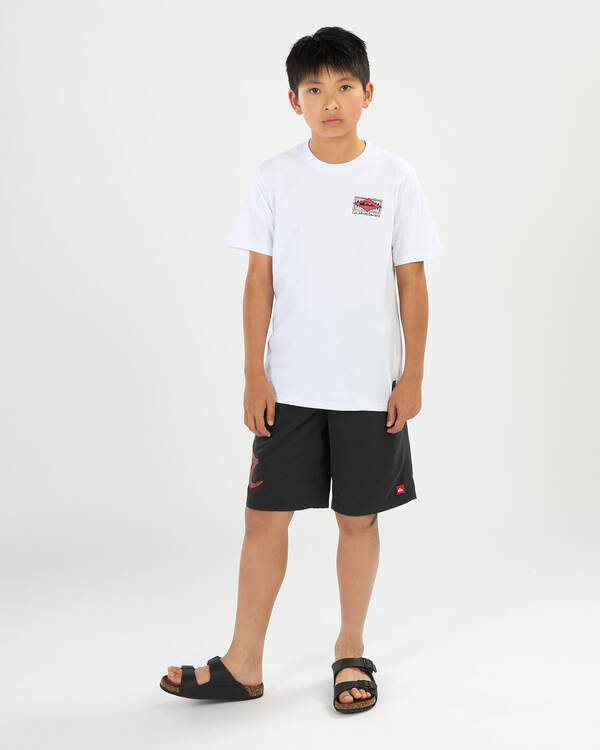 Quiksilver Boys' Scrawl Board Shorts for Mens