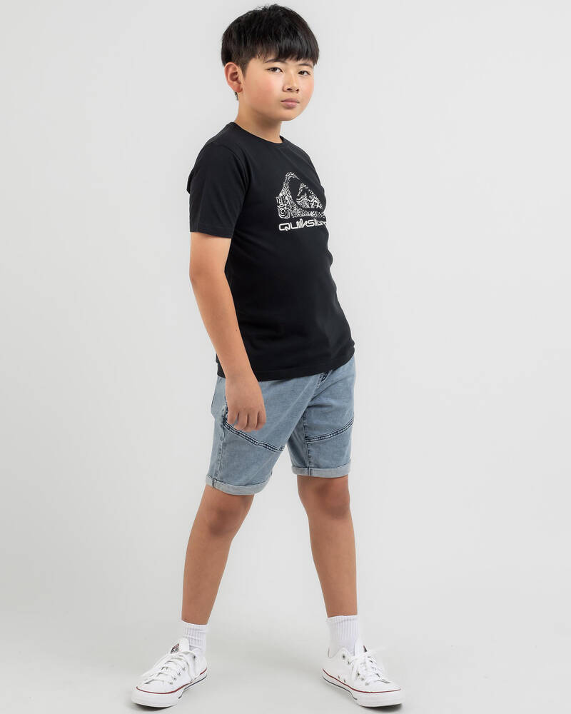 Quiksilver Boys' Funky Fills T-Shirt for Mens