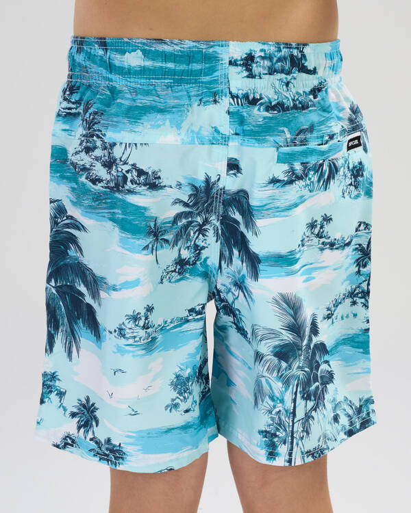 Rip Curl Boys' Dreamers Volley Shorts for Mens
