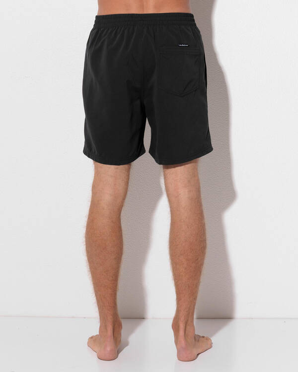 Quiksilver Everyday Vert Volley 17" Board Shorts for Mens