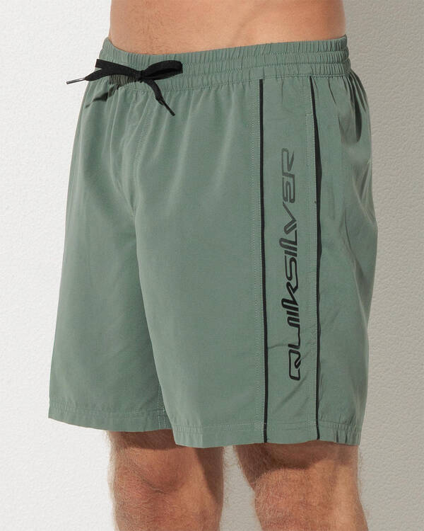 Quiksilver Everyday Vert Volley 17" Board Shorts for Mens