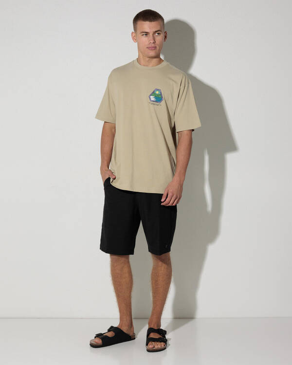 Billabong Rockies Adiv Premium T-Shirt for Mens