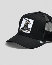 Goorin Bros The Stallion Trucker Cap for Mens image number null