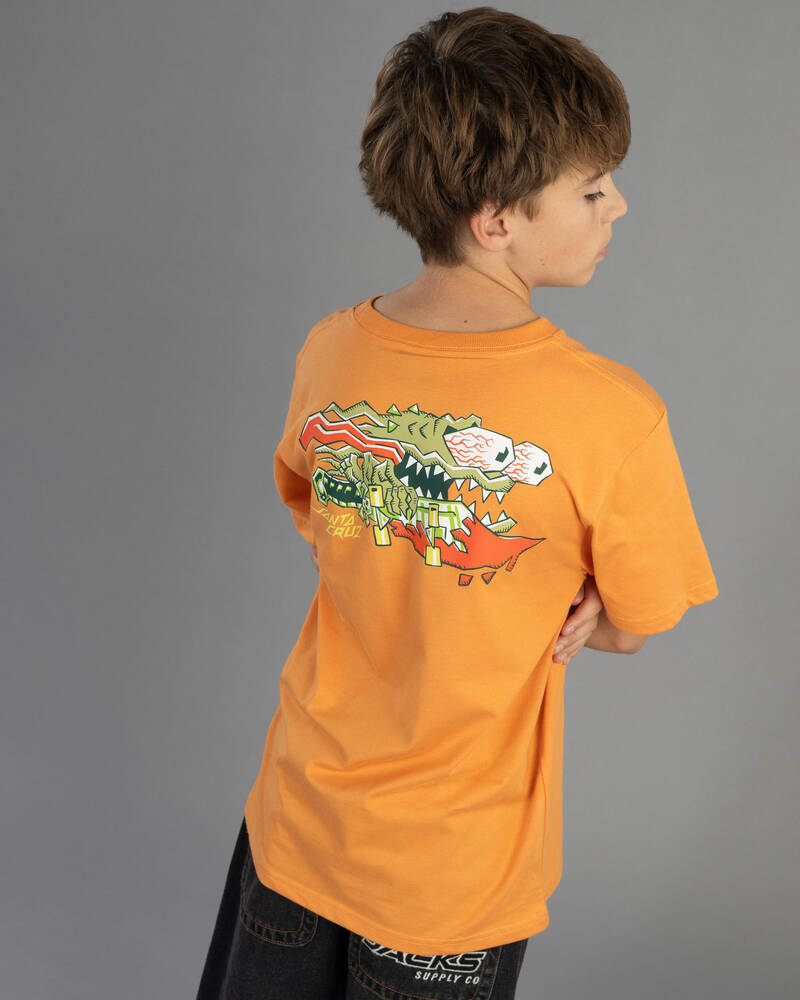 Santa Cruz Boys' Meek Scratched Slasher T-Shirt for Mens