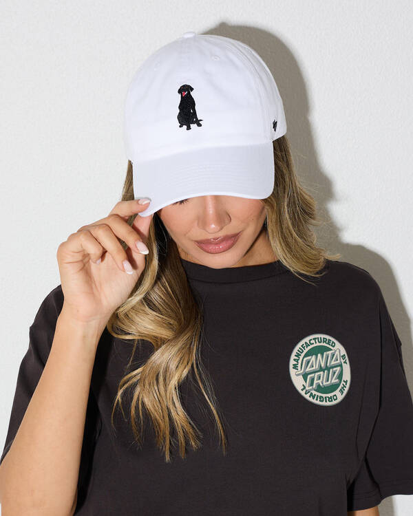 Labrador Clean Up Baserunner Cap