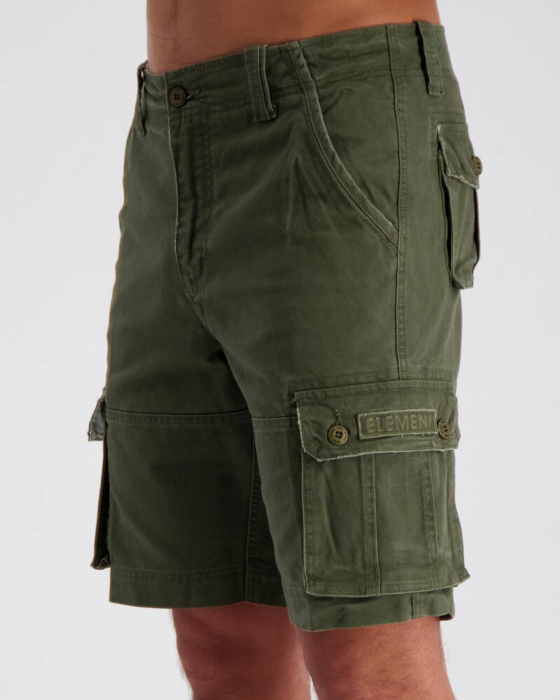 Element Source Cargo Shorts for Mens
