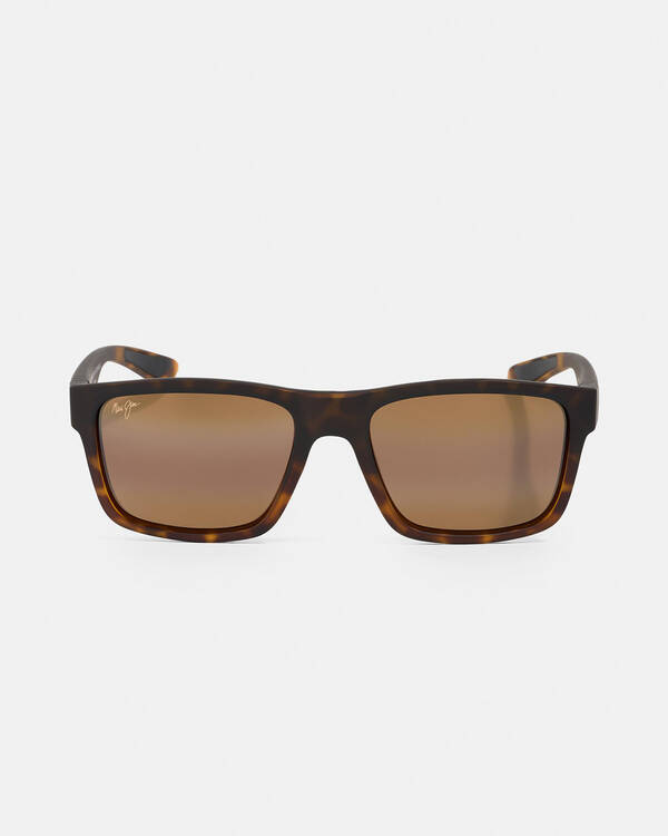 The Flats Polarised Sunglasses