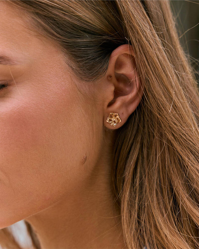 Karyn In LA Anna Earring Pack for Womens