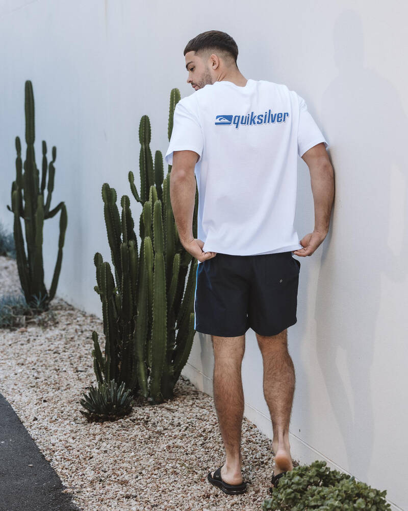 Quiksilver Everyday Clicker Volley 17" Board Shorts for Mens