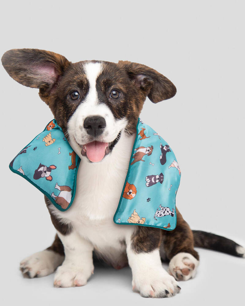 Get It Now The Dog Collective Head Pack for Unisex