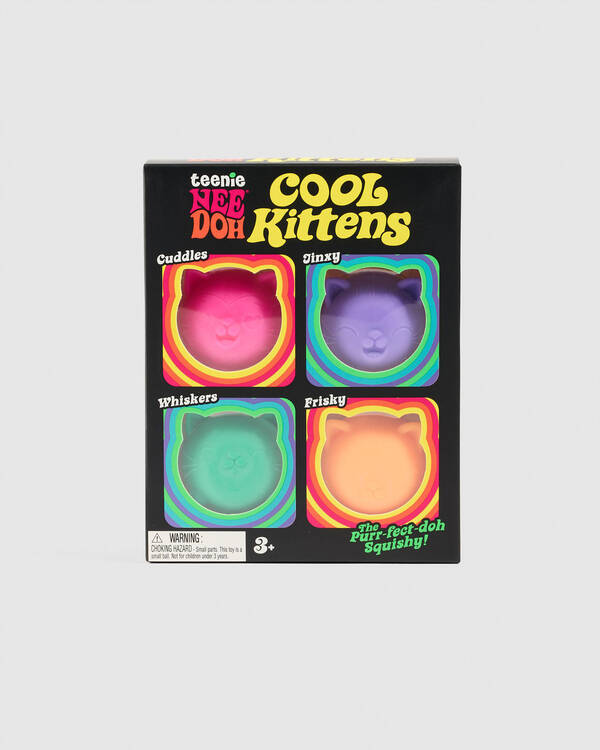 Schylling Nee Doh Cool Cats Teenie NeeDoh 4 pack for Unisex