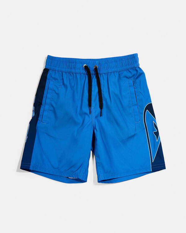 Toddlers' Everyday Holmes Board Shorts