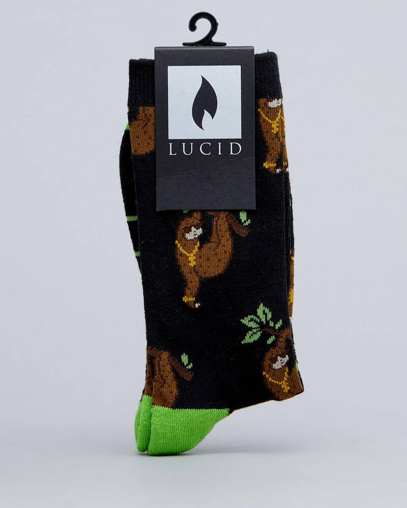 Lucid Hangin Socks for Mens