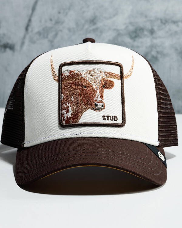 Goorin Bros Over The Line Longhorn Trucker Cap for Mens
