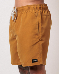 Rip Curl Bondi Volley Board Shorts for Mens image number null