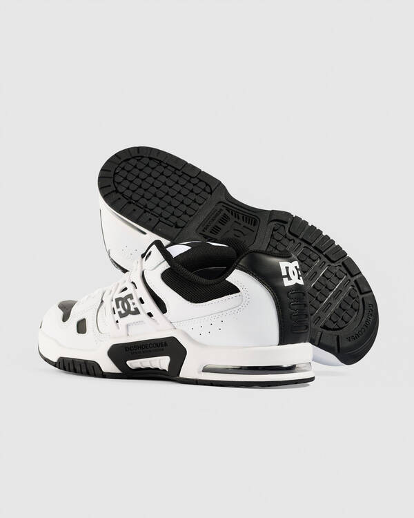 DC Shoes Aerotech 2 Shoes for Mens