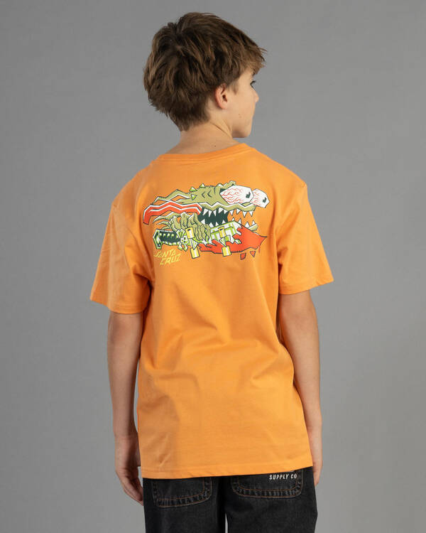 Santa Cruz Boys' Meek Scratched Slasher T-Shirt for Mens