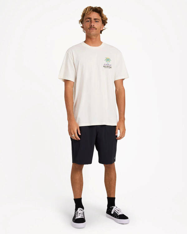 Billabong Portal Premium T-Shirt for Mens