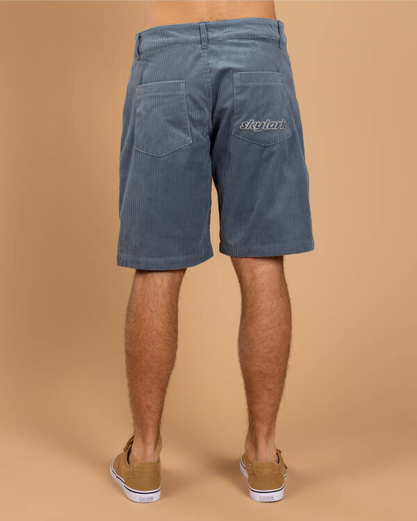 Skylark Ascent Walk Shorts for Mens