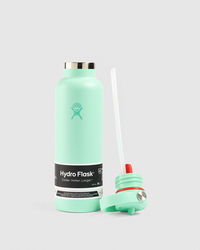 Hydro Flask 21 Oz Standard Flex Straw Cap Bottle for Unisex image number null