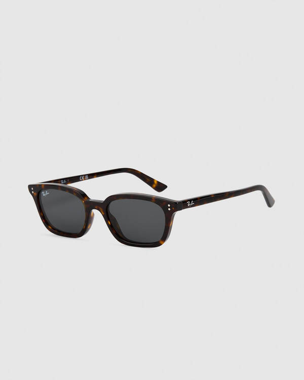 Ray-Ban Zaya Sunglasses for Unisex