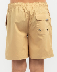 Santa Cruz Boys' MFG Cruizer Solid Shorts for Mens image number null