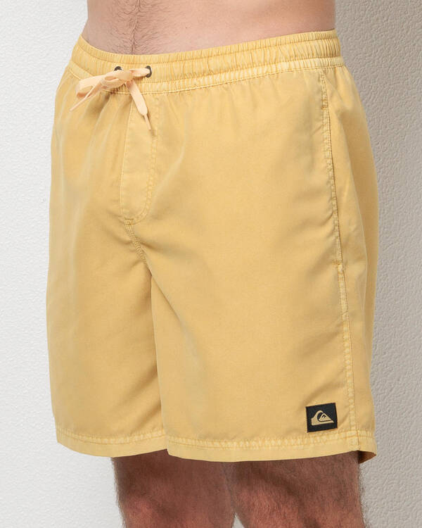 Quiksilver Everyday Surfwash Volley 17 NB Board Shorts for Mens