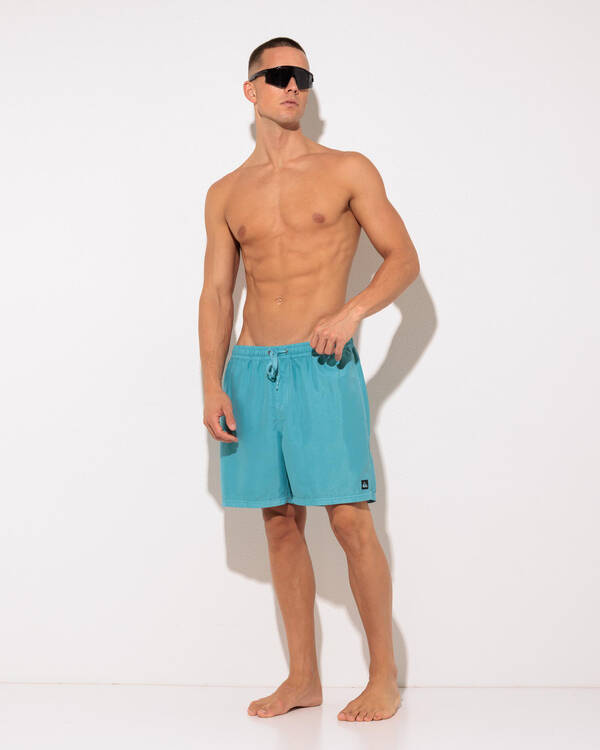 Quiksilver Everyday Surfwash Volley 17 NB Board Shorts for Mens