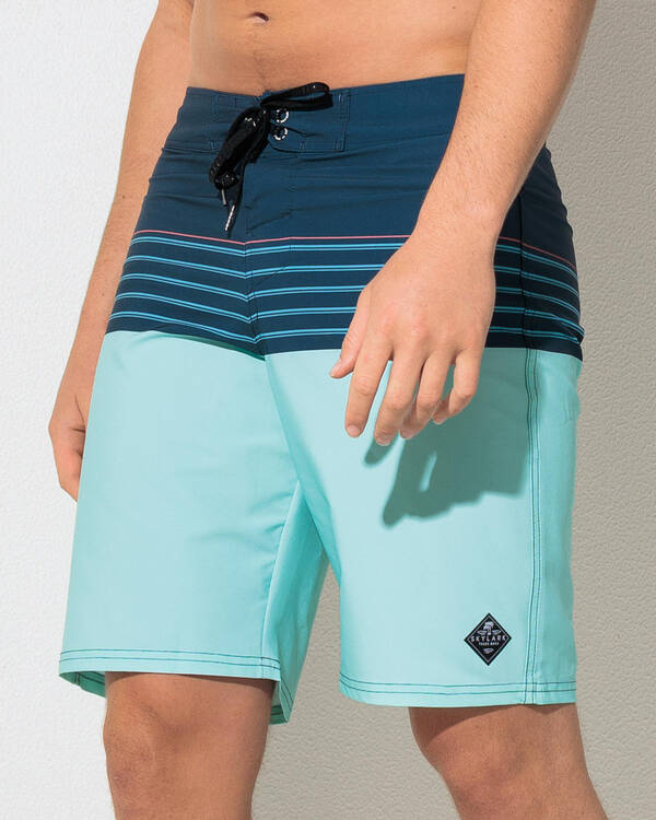 Retro Stripe Board Shorts