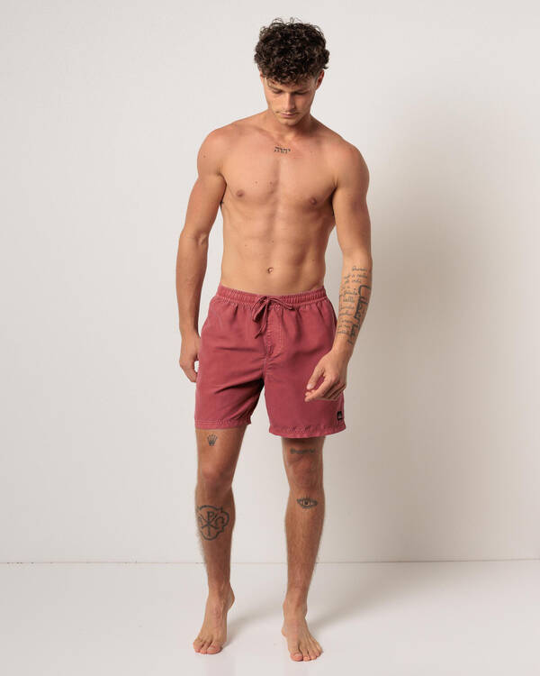 Quiksilver Everyday Surfwash Volley 17 NB Board Shorts for Mens