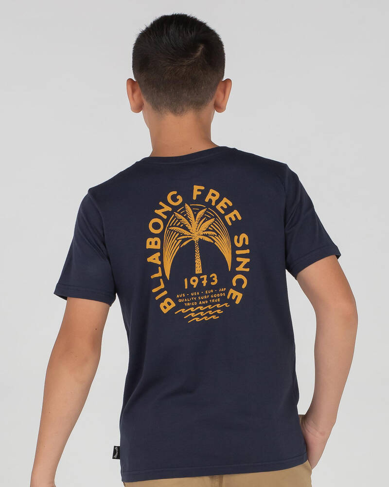 Billabong Boys' Skitz Brau T-Shirt for Mens