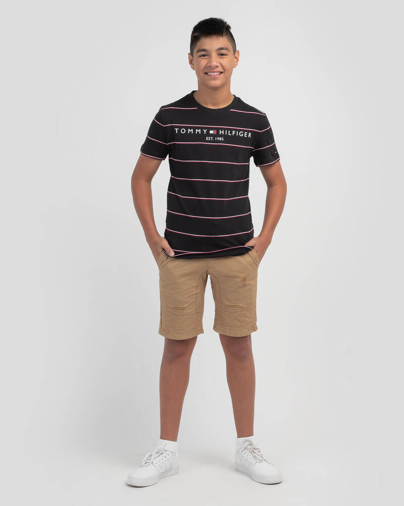 Tommy Hilfiger Boys' Essential Stripe T-Shirt for Mens