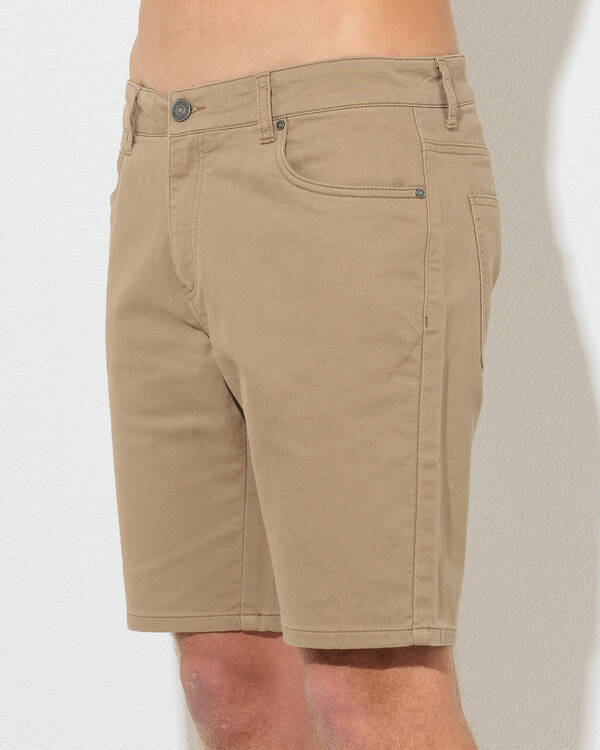 Skylark Cove Walk Shorts for Mens