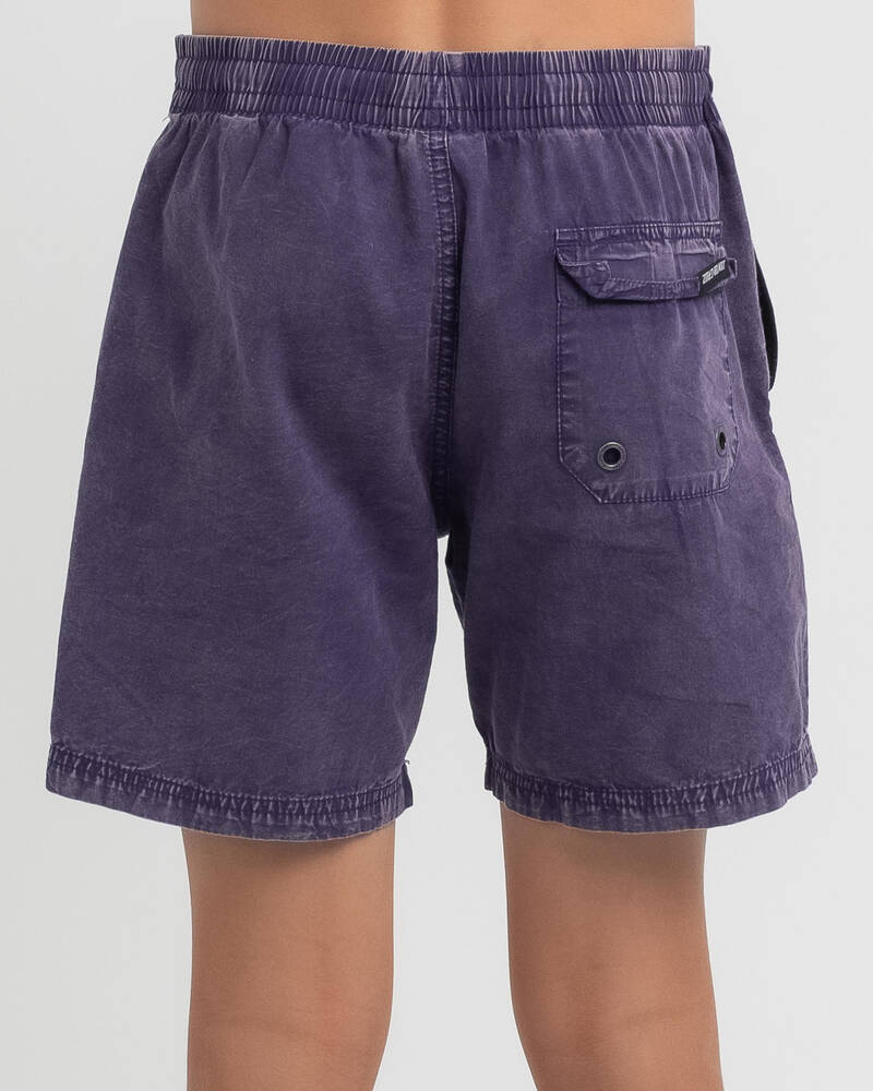 Santa Cruz Boys' Cruizer Beach Shorts for Mens