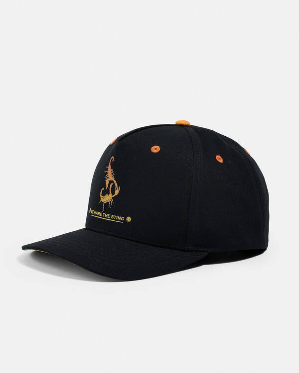 Dexter Boys' Pincer Snapback Cap for Mens