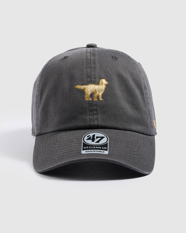 Golden Retriever '47 Clean Up Cap