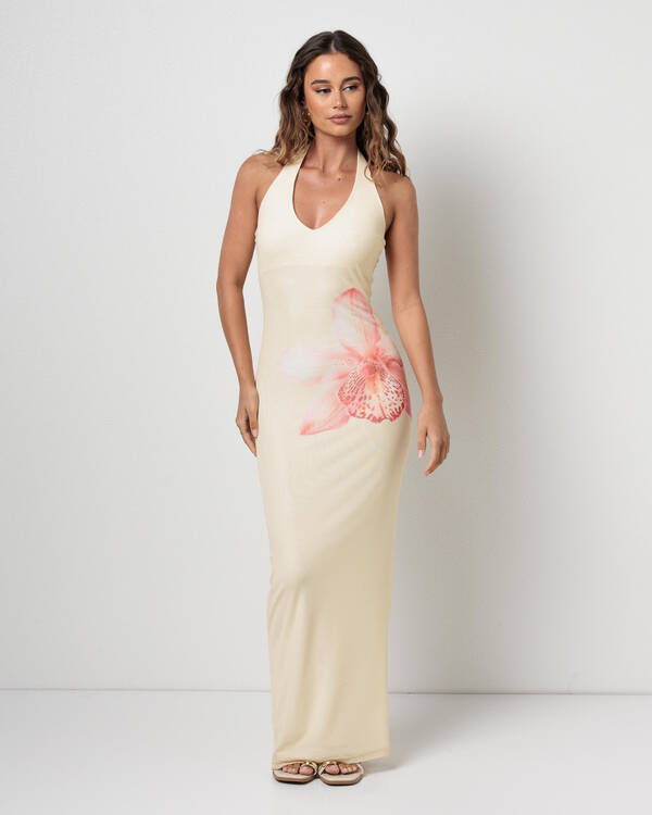 Mooloola Susie Maxi Dress for Womens