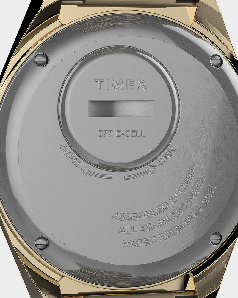 Timex Q Timex Lab Achieve Watch for Mens