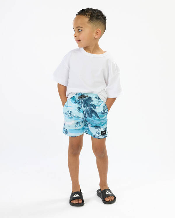 Rip Curl Toddlers' Dreamers Volley Shorts for Mens