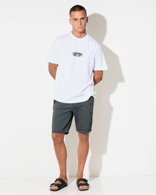 Billabong Biscus OG T-Shirt for Mens