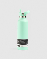 Hydro Flask 21 Oz Standard Flex Straw Cap Bottle for Unisex image number null