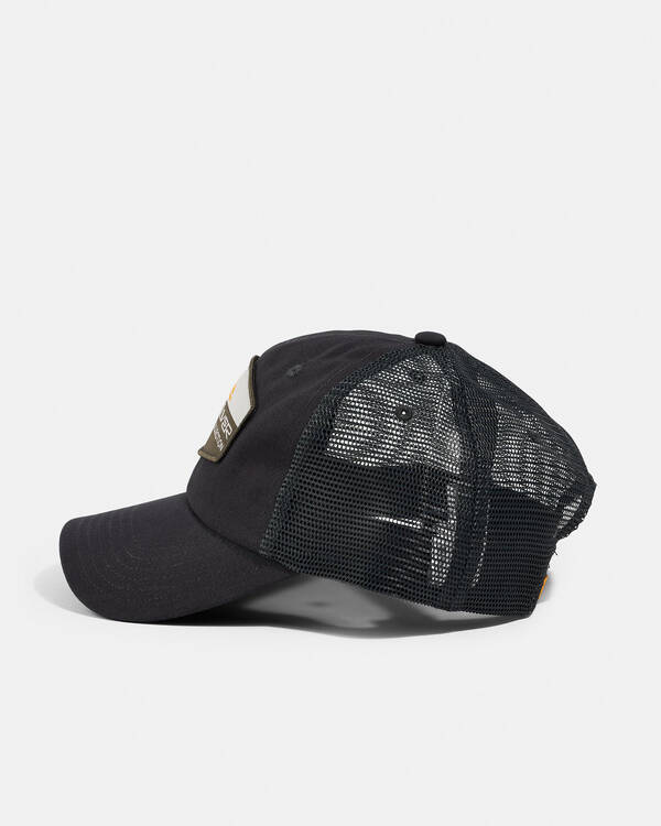 Quiksilver Spear Back Cap for Mens